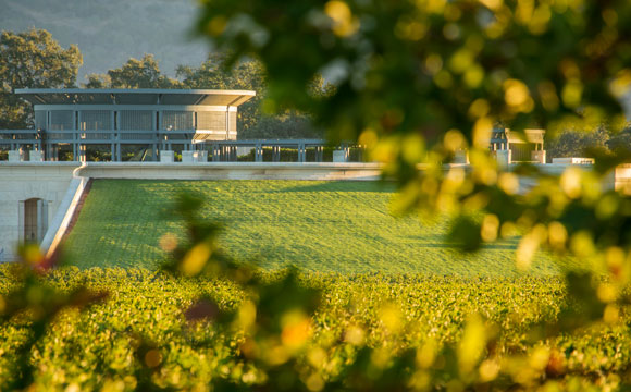 Looking through the trees at the front of the winery of Opus One with green grass berms.