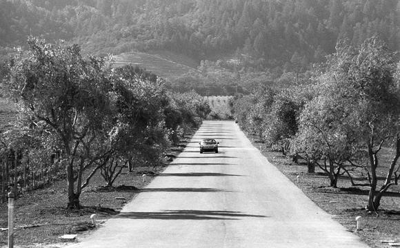 Opus One driveway on 35mm black and white film with a vintage car